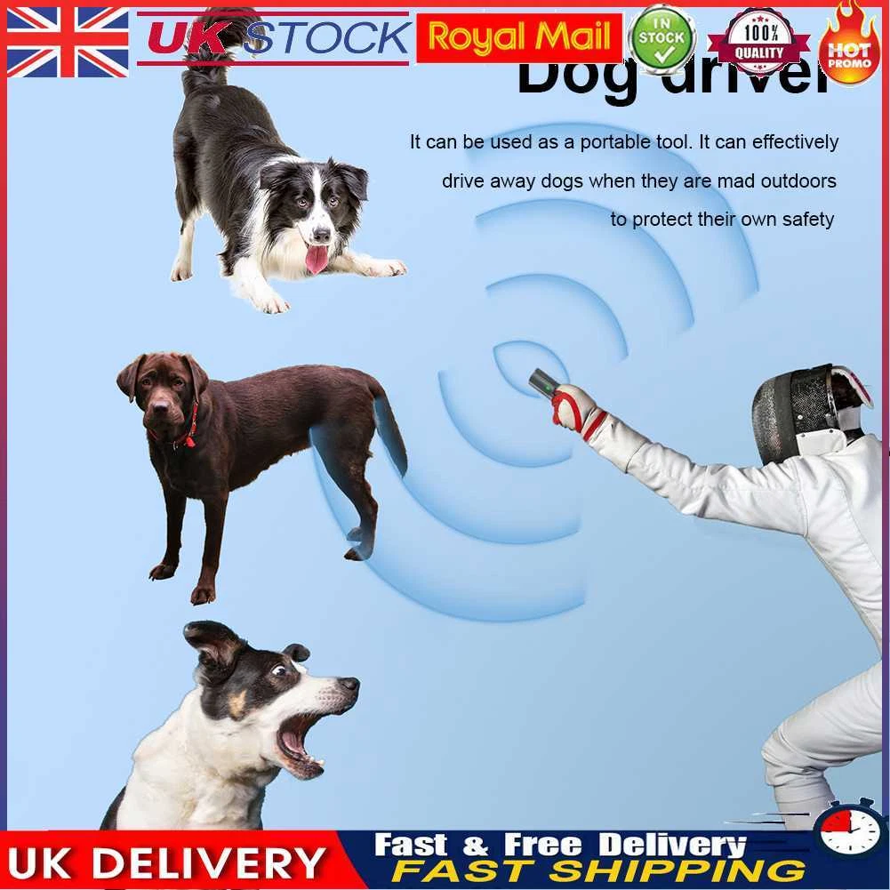 Outdoor dog deterrent 2025