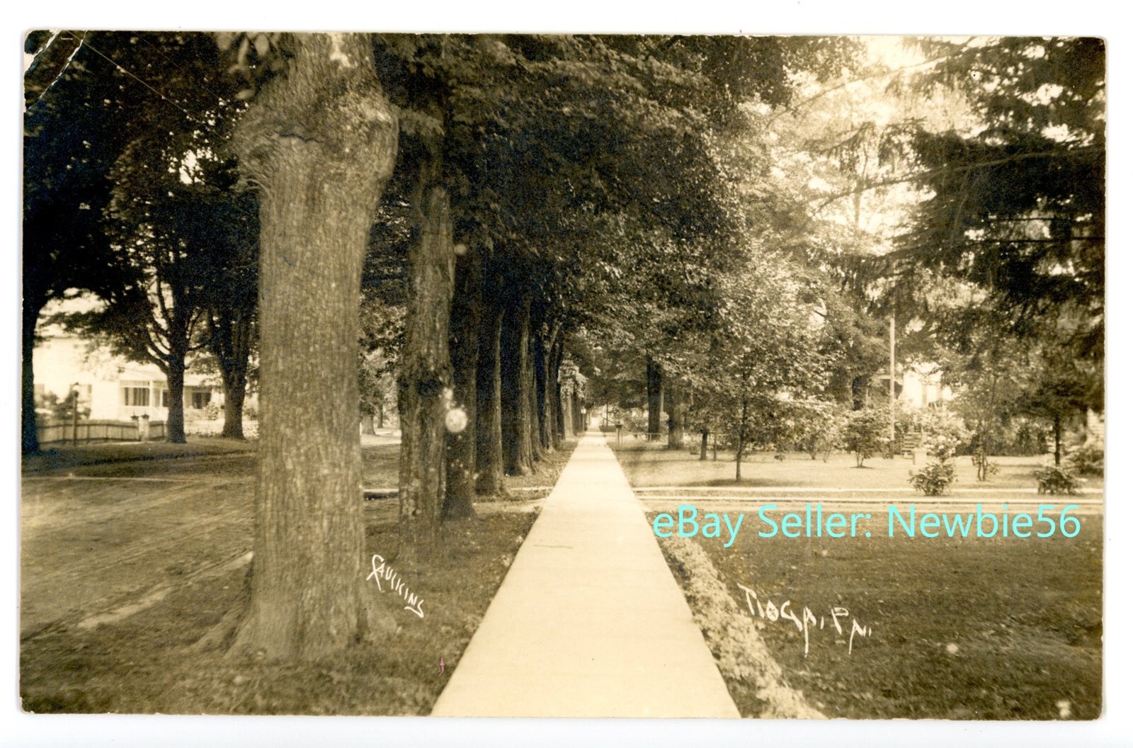 Tioga PA NEW SIDEWALK IN VILLAGE RPPC Caulkins Postcard Tioga
