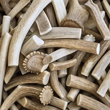 Deer Antler Dog Chews 4-5 Count  Budget-Friendly Natural Chew Bones