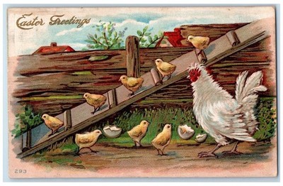 c1910's Easter Greetings Chicken Hen Hatched Egg Chicks Embossed Posted Postcard