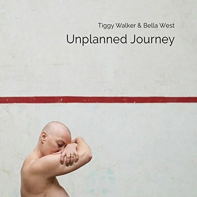 Unplanned Journey Buch Matador