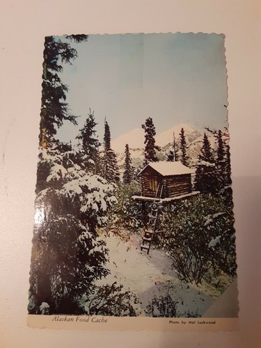 Vintage Postcard Alaskan Food Cache Alaska Joe | eBay