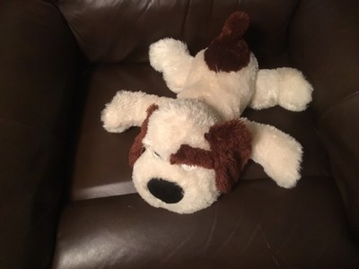 white fluffy stuffed dog