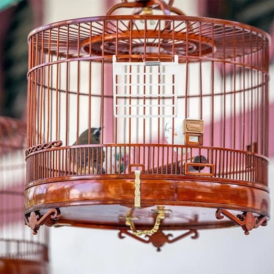 5 Pcs Porte Cage Oiseau De À Oiseaux Accessoires Pour Cages Perruches - Photo 1/4