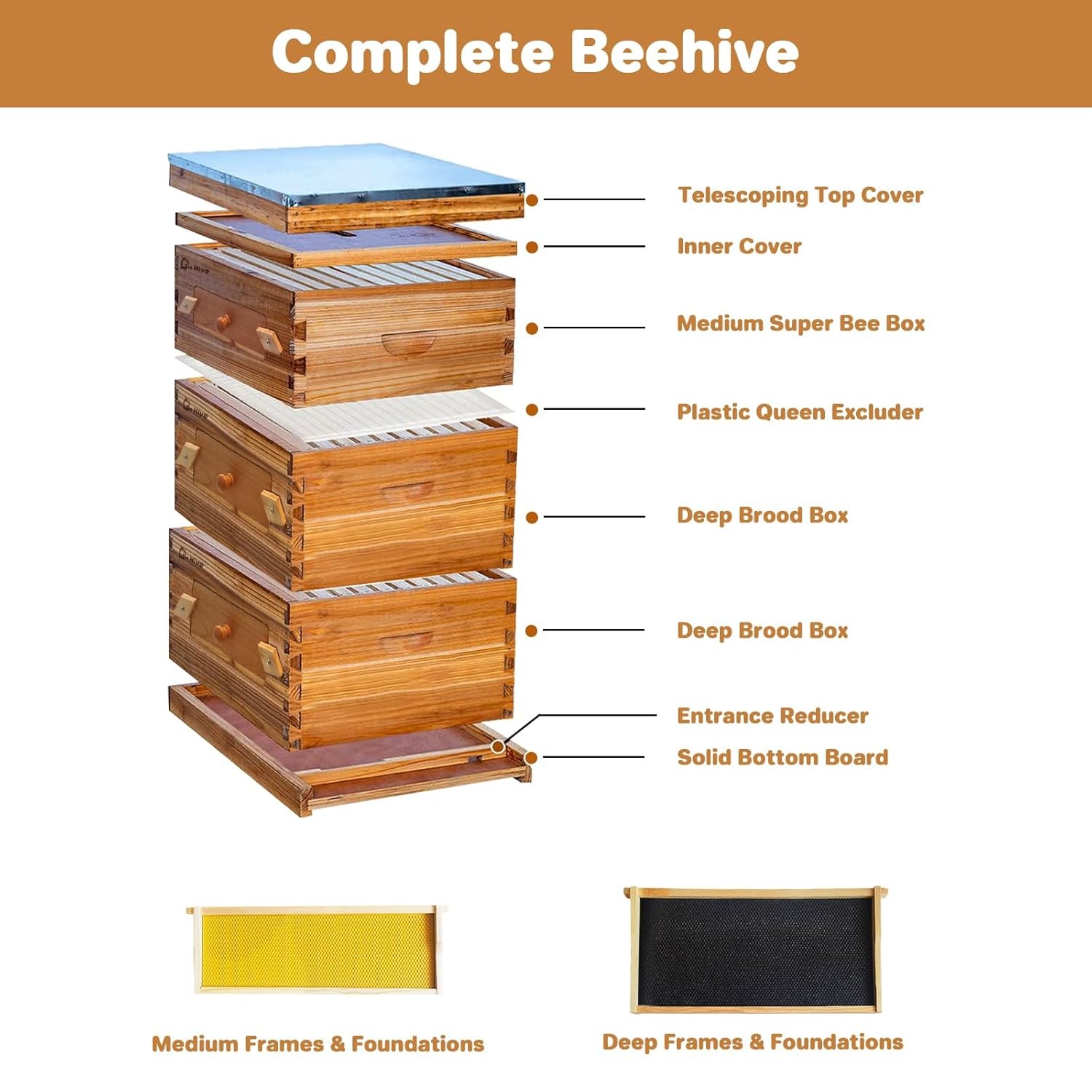 10 Frame Beehive Beeswax Coated(2 Deep Brood Bee Boxes & 1 Medium Super Bee Box)