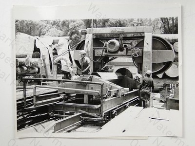 Peru Timber Industry Schulte Machine Log Veneer Production UPI 1970 Photo
