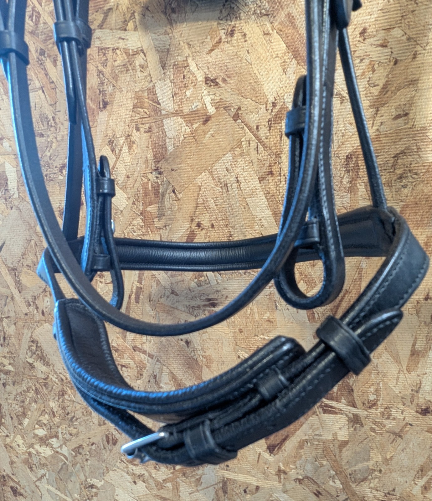VESPUCCI Classic Padded Dressage Bridle $318