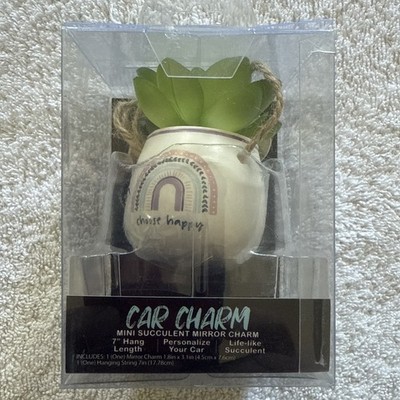Mini Succulent Car Mirror Charm 7  Hang Length 2x3