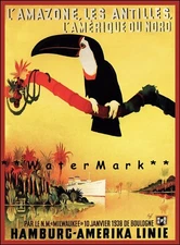 L'Amazone 1938 Hamburg America Ship Line Travel Vintage Poster Print Art