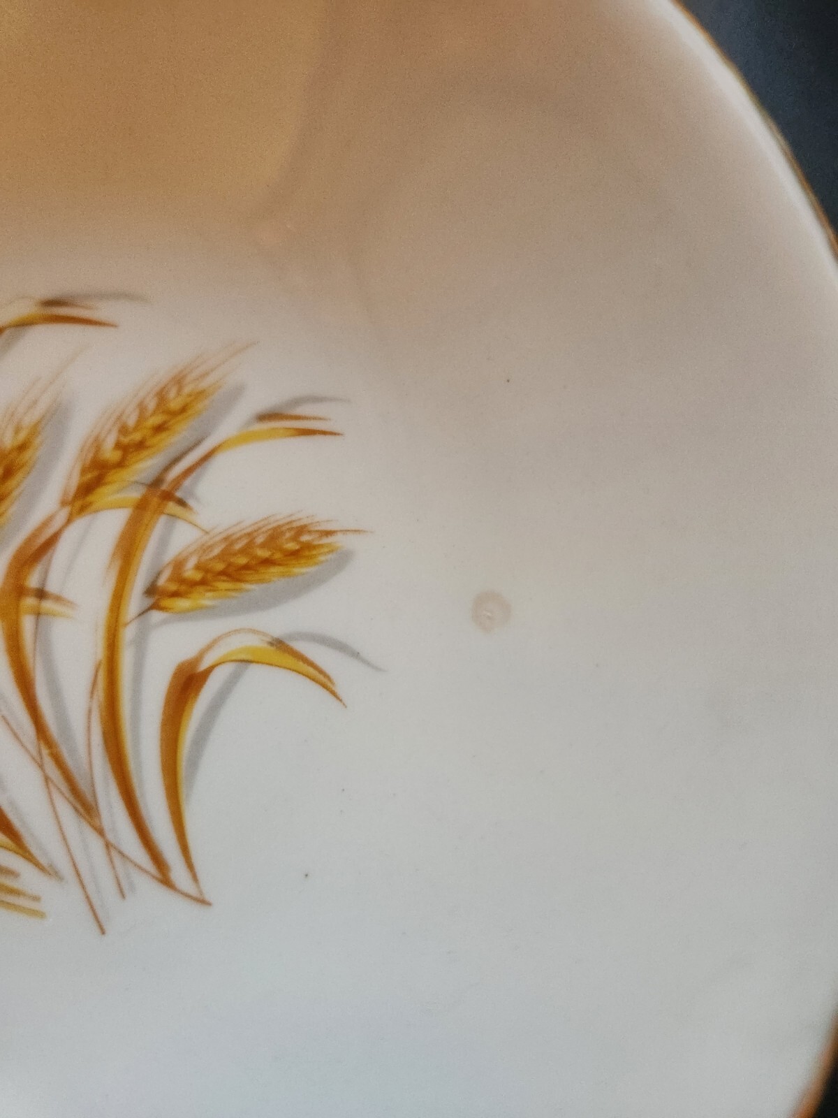 Vintage Golden Wheat Pattern 22K Gold Dinner Set Homer Laughlin Dishes 26 Pieces