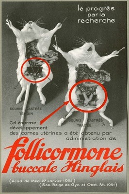 Vintage 1931 French Science Poster - Science & Medicine Research    - 24x36 