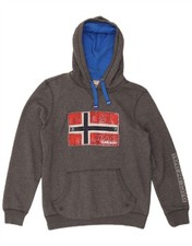 Napapijri Mens Graphic Hoodie Jumper Medium Grey BN07