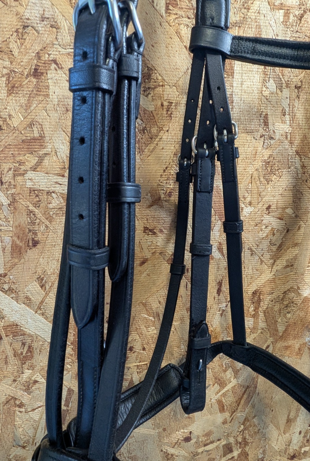 VESPUCCI Classic Padded Dressage Bridle $318