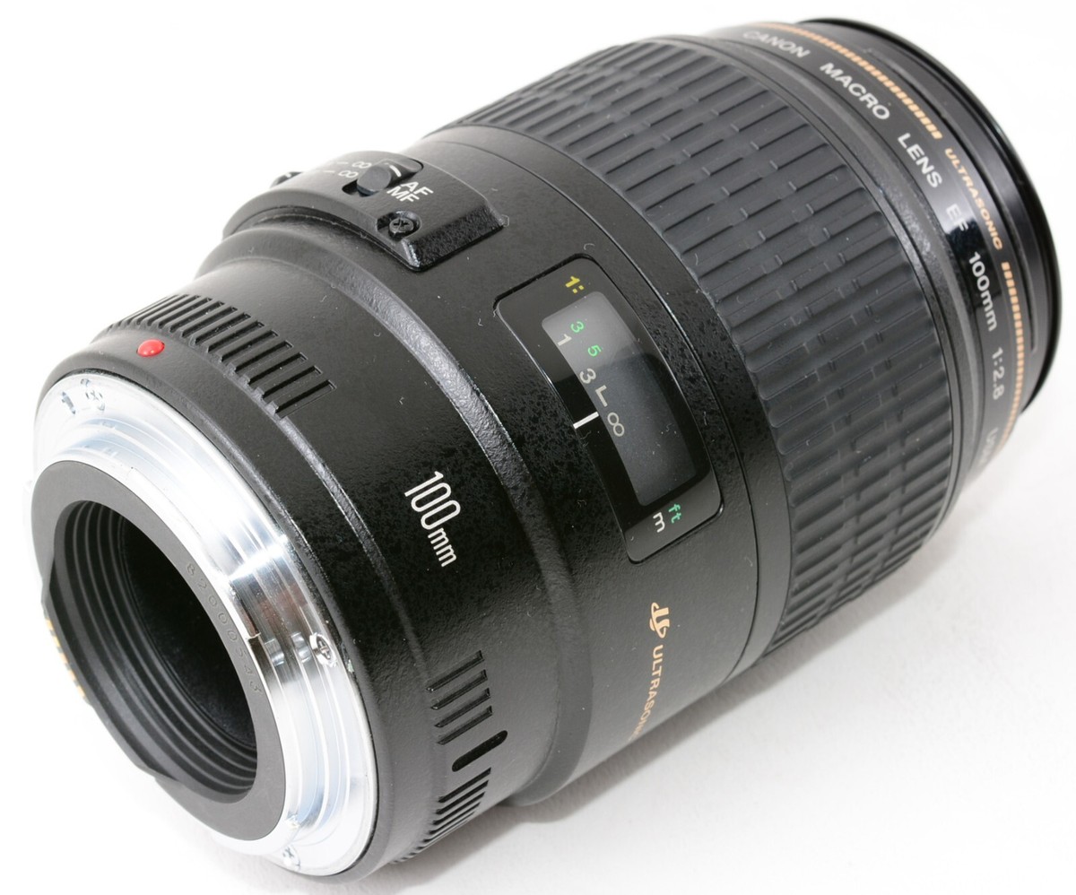 Canon MACRO LENS 100mm F2.8 USM☆実用品 Amazon.com : Canon 100mm F2.8 Macro USM AF Lens : Camera