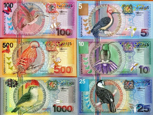 Netherlands Mauritius, 50 Gulden, 2016, Private POLYMER, UNC - Foto 4