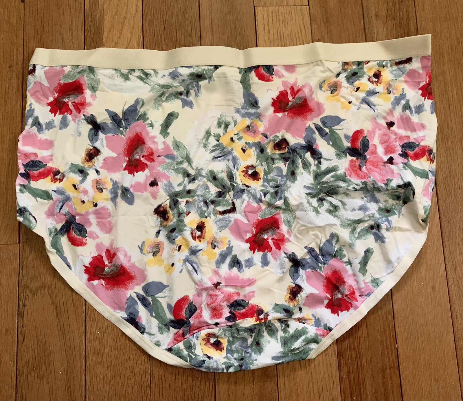 Plus Sz 18/20 Lane Bryant Cacique Extra Soft Full Brief Nylon Panty