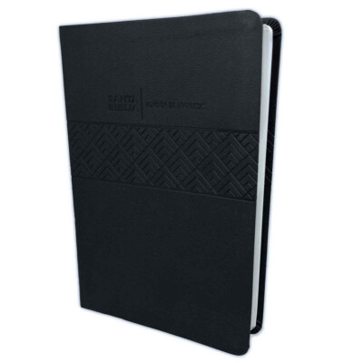 Biblia de Promesas Letra Grande RV1960: imit. piel negro