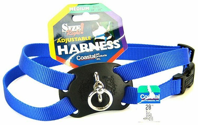 size right cat harness