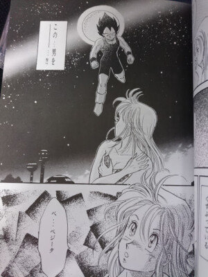 Doujinshi Dragon Ball Vegeta X Bulma (B5 48pages) Jun Ai ONIX | eBay