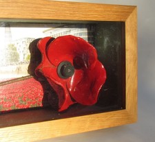 Paul Cummins Ceramics Tower of London Poppy in Display Case