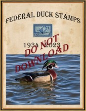 Libro estampillas federales de pato 91 consecutivas 1934 hasta 2023 imágenes escaneadas de alta definición