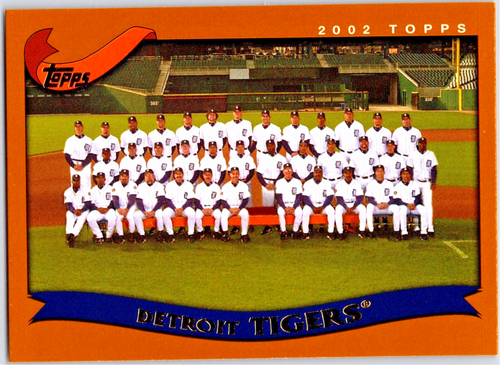 2002 Topps - Baseball #651 Detroit Tigers Teamfoto