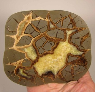 5.4" Polished SEPTARIAN GEODE End Slab Utah 1.6 lbs.