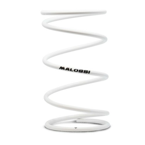 Ressort de Contraste Embrayage MALOSSI Renforcé Blanc BMW c600/c650gt