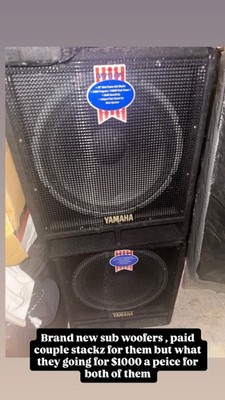 Yahama Subwoofers DJ Equipment Audio Sound Connect to Speakers 2-Way