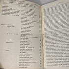Foto 3 di 10