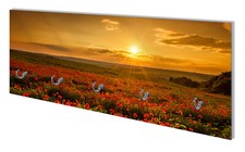 Wallario Wandgarderobe Glas, Motiv: Mohnblumenwiese Sonnenuntergang Abend Feld