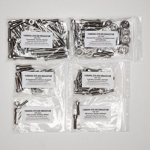 Kit vis allen inox pour moteur YAMAHA XVS 650 Dragstar 1997-2007 longévité premium