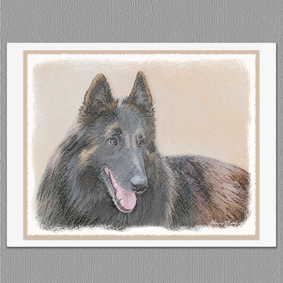 Belgian Tervuren Dog Blank Art Note Greeting Cards - Main Image