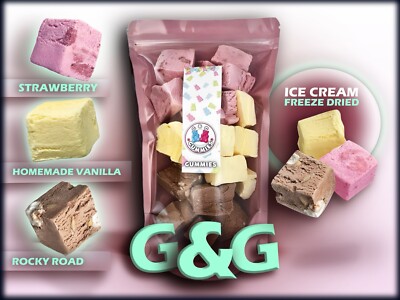 Freeze Dried Ice Cream Bits Bagged and Boxed - Does Not Melt