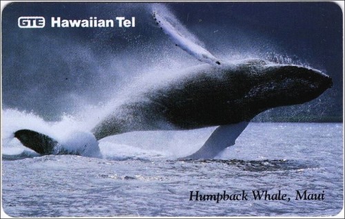 Rare Hawaii GTE Hawaiian Tel Phonecards Humpback Whale, Maui 20 $