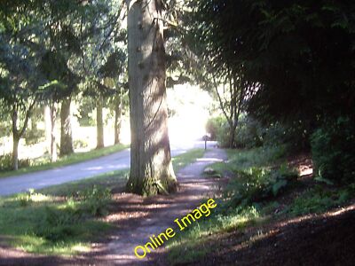 Foto 12x8 Konvergenz eines Nachlassweges mit dem Hauptantrieb Kratschen schließen c2013