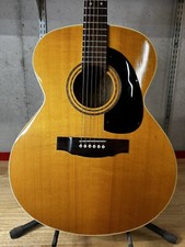 Framus Television ジャンク　ドイツ製　フルアコ　ビザール Framus Television ジャンク ドイツ製 フルアコ ビザール