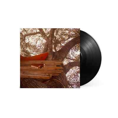 The Backseat Lovers / WAITING TO SPILL (VINYL) (LP) / Capitol / 060244833874 / 