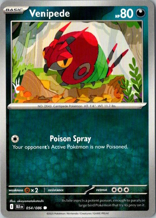 Venipede Black Bolt Pokémon TCG