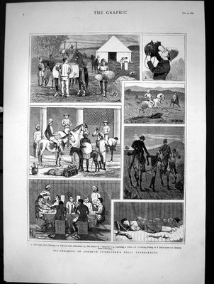 Alter Schweinesteck Indien Subalternen erste Erfahrungen Lagergetränk 1880 Viktorianisch