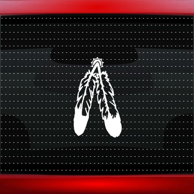 Feather #4 Native American Car Decal Window Sticker Wolf Bear Paw (20 COLORS!)