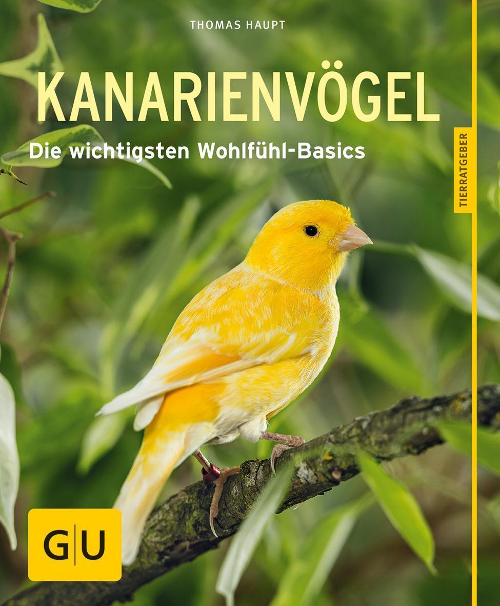 Thumbnail - Kanarienvögel Thomas Haupt