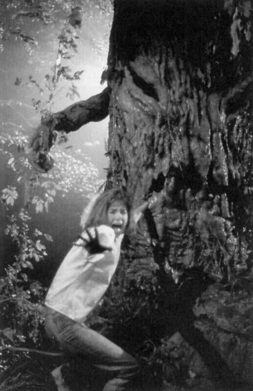 "Evil Dead 2" Two Evil Trees Replica Prop Collector eBay