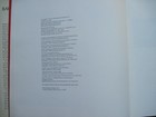 Foto 5 di 12