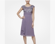 Alex Evenings Icy Orchid Sequin A Line, Lace Bodice Chiffon Dress Size 18