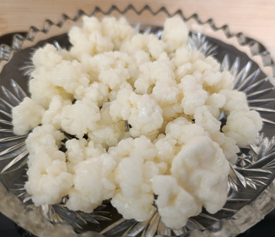10 Gramm Tibetische Bio Milch Kefir Knollen Pilz für 0,5 Liter kaukasisch aktiv