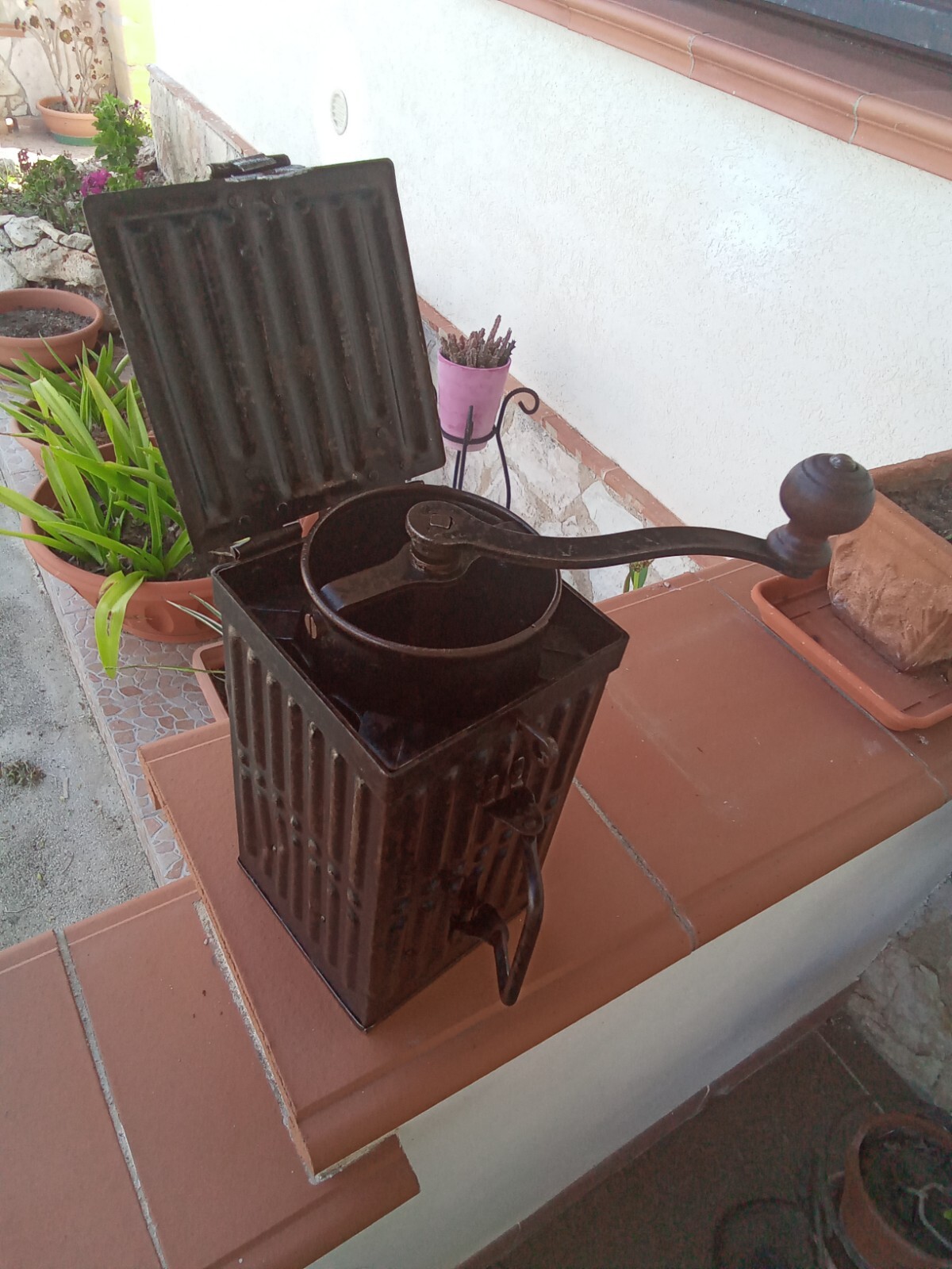 Foto 4 di 12