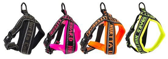 hurtta lifeguard dog harness