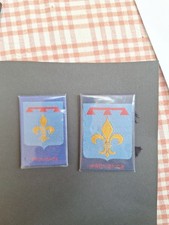 Scout Badges FRENCH  SDF/PRO PROVENCE X 2