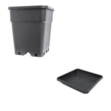 11L Square Black Plastic Pot & Saucer - Multi Packs - £2.50 NEXT DAY DELIVERY